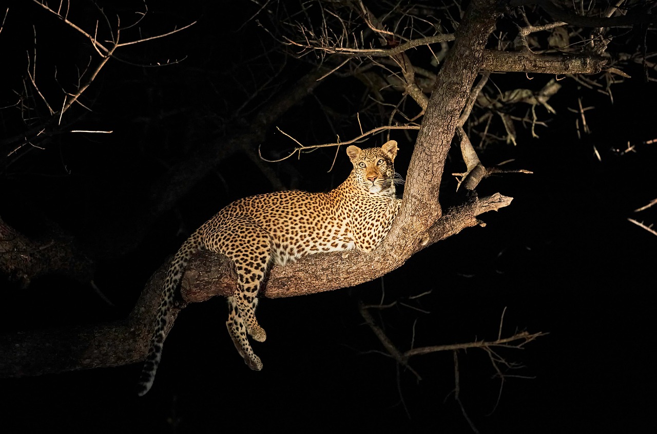 5 day tarangire and lake manyara safari